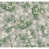 Gray/Green selected