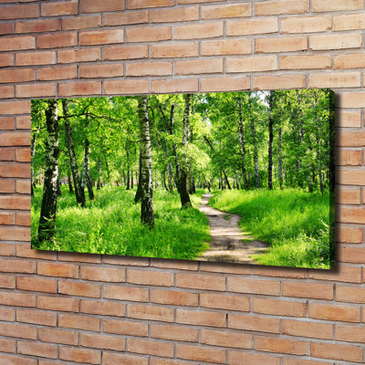 Birch Forest - Wrapped Canvas Print