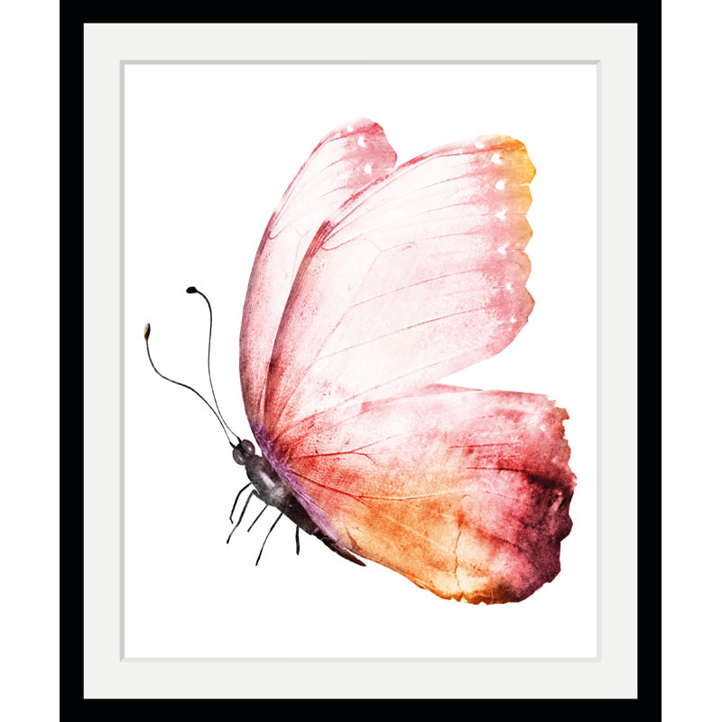 Butterfly - Single Picture Frame Print, 50 cm H x 40 cm W