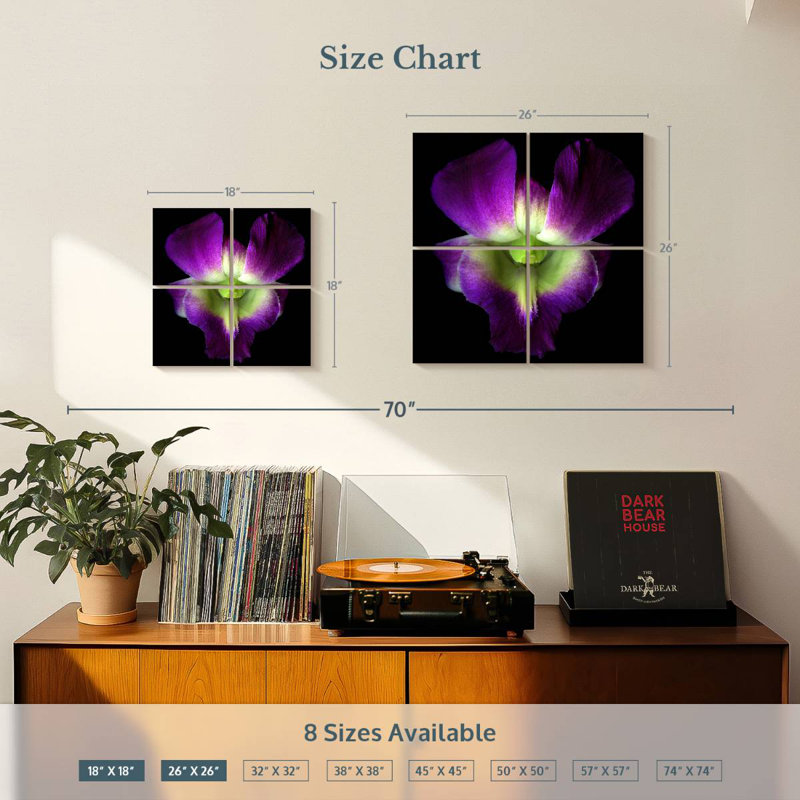 Harnek Solo Orchid