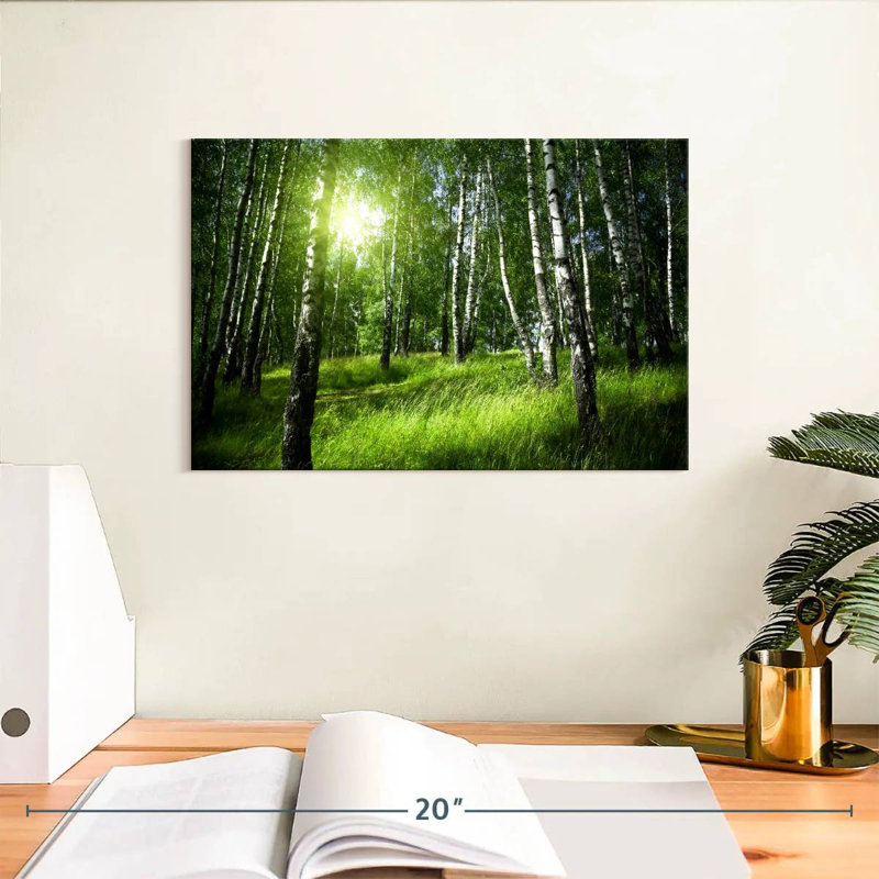 Alvord Birch Forest Sunrise View, 8" H x 12" W