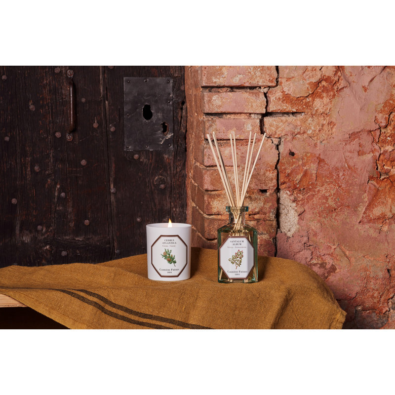 Cedar Candle