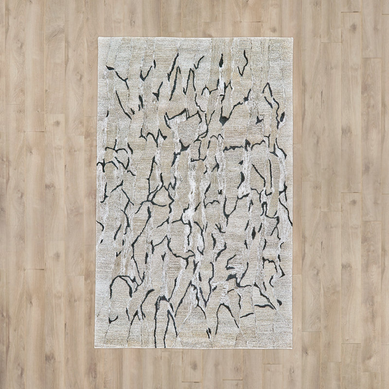 Banford Abstract Area Rug in Taupe/Black, Rectangle 2' x 3'