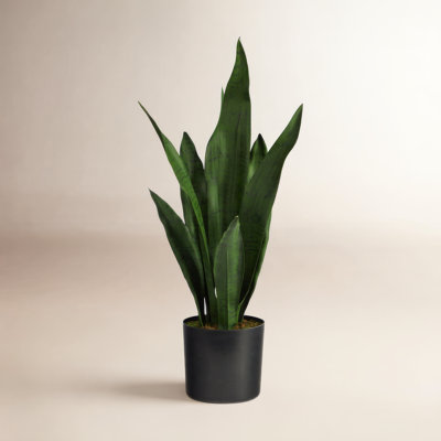 Faux Snake Plant (Sansevieria) Plant in Pot