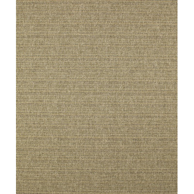 Caspian Fabric