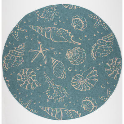 Tapis intérieur / extérieur bleu Hollar Shells