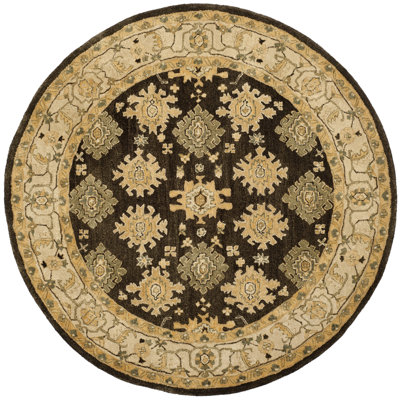 Ladd Wool Pile Oriental Rug