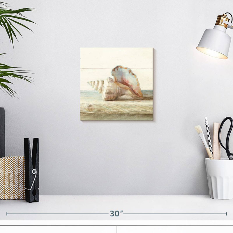 Aletra Driftwood Shell IV, H 10 po x l 10 po