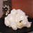 20 - Bulb 5'' Battery Powered Novelty String Light
