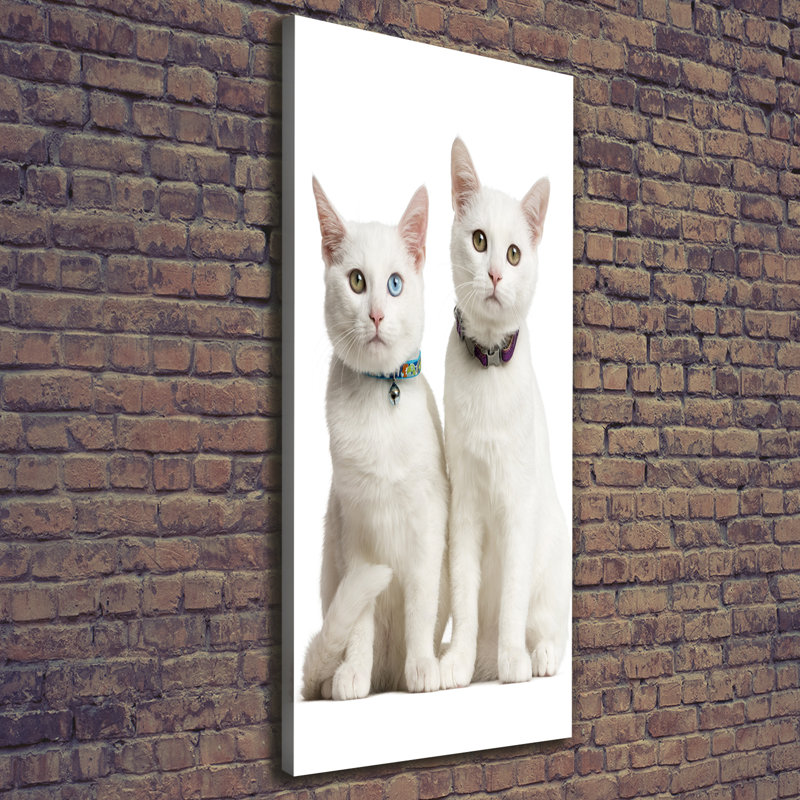 Two White Cats - Wrapped Canvas Print