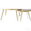 Table basse 2 pièces Gold