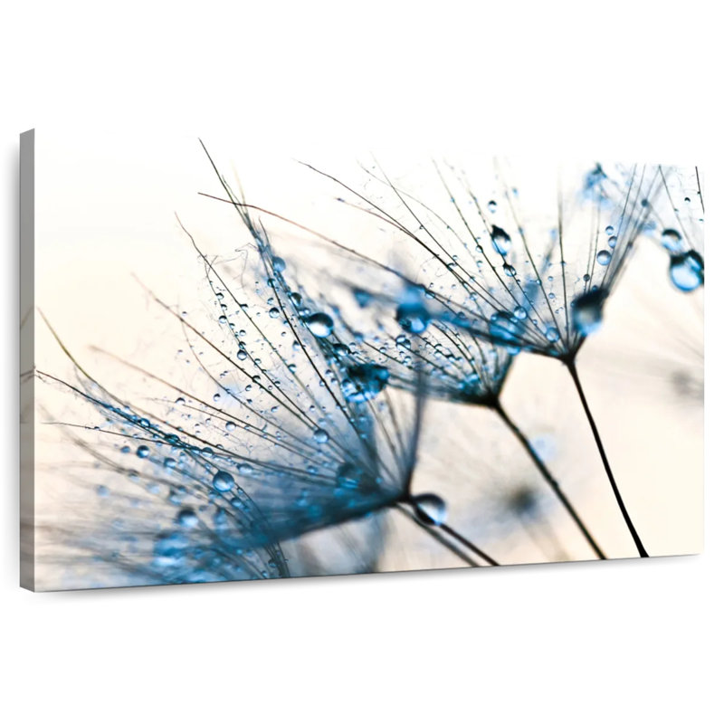Harnek Mystic Blue
