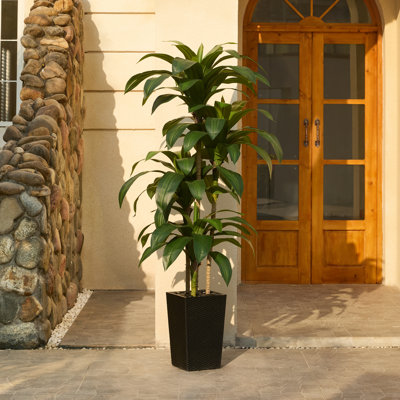 Adcock UV Resistant Artificial Green Dracaena Tree, Faux Tree with Large Base for Indoor Outdoor