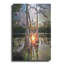 «Cypress Swamp Sunset Red Sun Reflection Lily Pads» par Ezra Tanner-1159193925