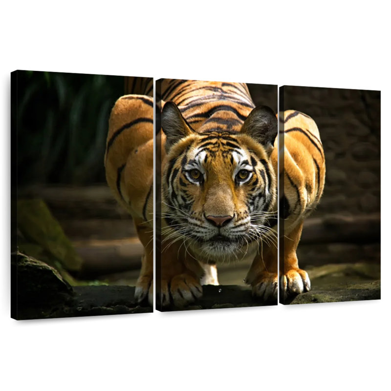 Fearless Tiger, 36" H x 57" W
