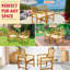Chaises de salle à manger d'extérieur en bois d'acacia Tranquillo Solara - ensemble de 2 avec coussins, capacité de charge de 500 lb