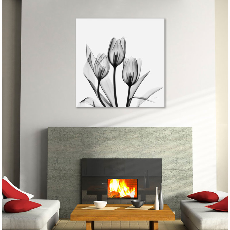 «Tulip Gray 2», toile tendue par Albert Koetsier, H 24 po x l 24 po x P 1,5 po