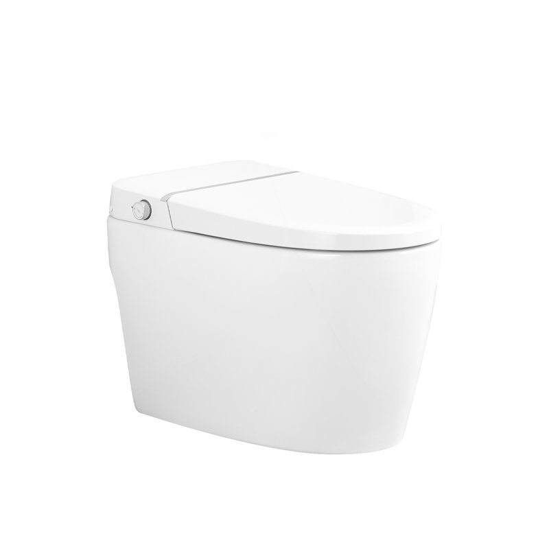 Combiné de bidet de toilette intelligent avec buse autonettoyante, siège chauffant, veilleuse, commande à bouton, chasse d'eau en cas de panne de courant, fermeture en douceur, chasse automatique, avec télécommande