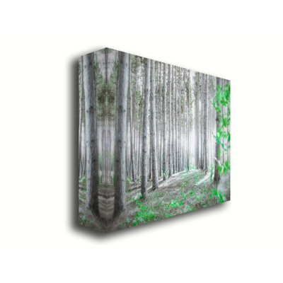 Last of the Green in the Forest by Hal Halli. Giclee Gallery