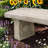 Sunflower Bench
