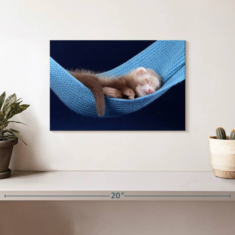 Hamac pour furet