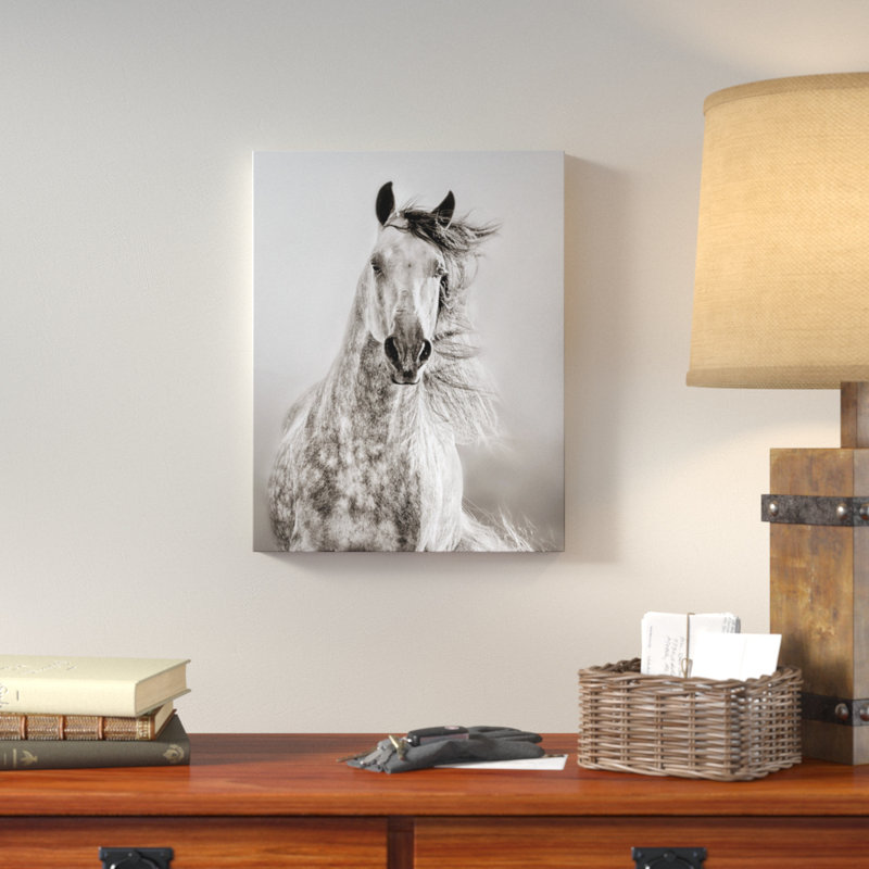 Caballo de andaluz, reproduction de photo sur toile tendue, H 48 po x l 36 po x P 2 po