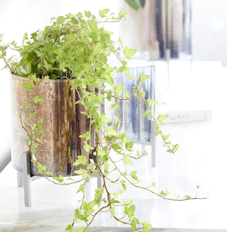 Basil Glass and Iron Candle Holder, 14.25" H x 11" W x 11" D