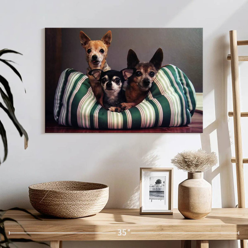 Crowle Chihuahua Friends, H 16 po x l 24 po