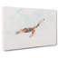 Black Kite Bird - Wrapped Canvas-56665158