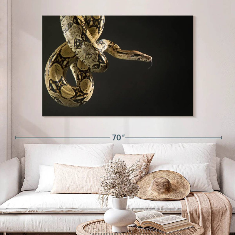 Serpent brun Brampt, H 34 po x l 51 po
