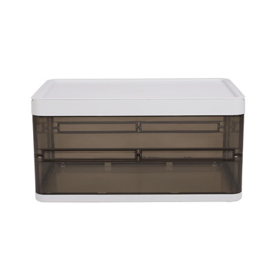 Rebrilliant Bezoski Storage Tub & Tote