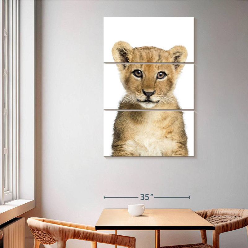 Brampt Adorable Baby Lion