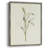 Olive Leaves I Framed Print - Solid Wood-1197908753
