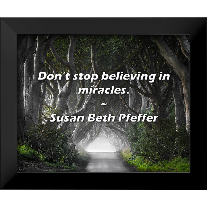 Citation de Susan Beth Pfeffer: N'arrêtez pas de croire aux miracles.