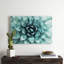 «Turquoise Succulent», reproduction de photo sur toile tendue-1252123612