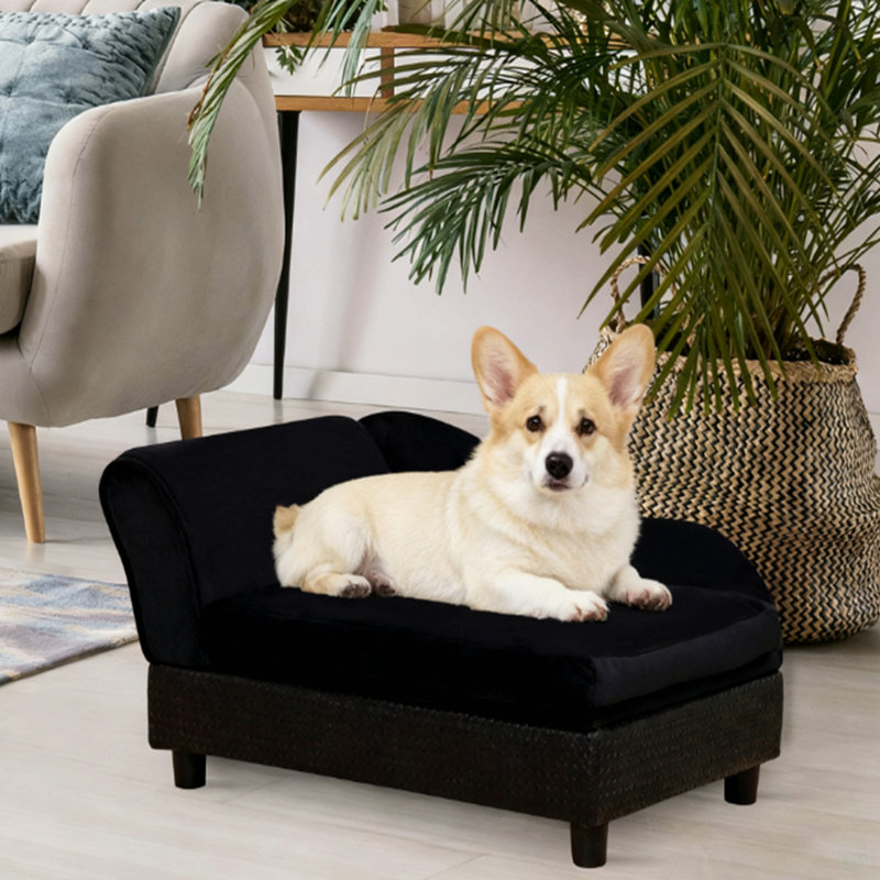 Canapé pour chien avec rangement pour animaux de compagnie, noir, Noir