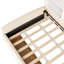Lit plateforme tapissier simple en velours | avec tiroirs de rangement à roulement en douceur et tablette latérale intégrée | Tête de lit moelleuse pour le confort | Structure robuste | Idéal pour la chambre à coucher et les petits espaces-107288446