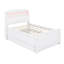 Lit Knepp-116740042