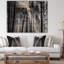 «Sunbeam Through Black White Forest», photographie-35125694-35125691
