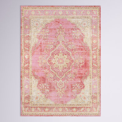 Allerone Oriental Indoor Rug