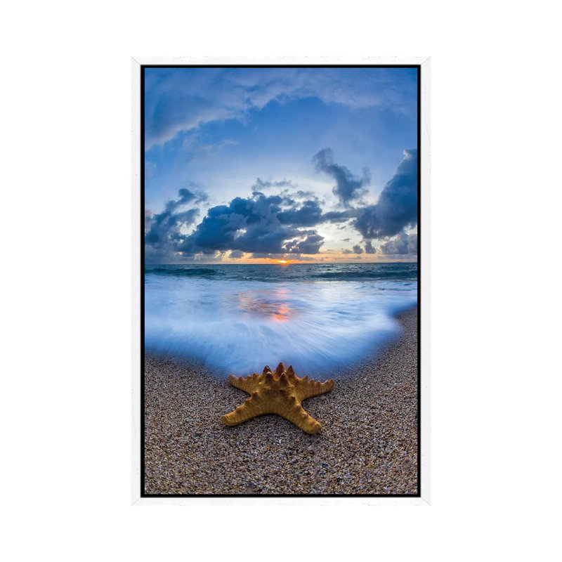 Starfish Sea Foam by Sean Davey - Print on Canvas, 66.04cm H x 45.72cm W x 3.81cm D, White Floater Framed
