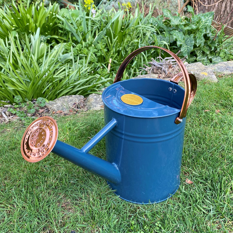 Metal Watering Can, Blue