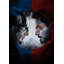 Capitaine America, guerre civile-107314858
