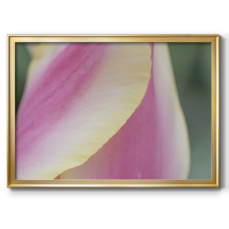 " Delicate ", Gold Closed Corner Framed Canvas, 14" H x 20" W x 1.5" D