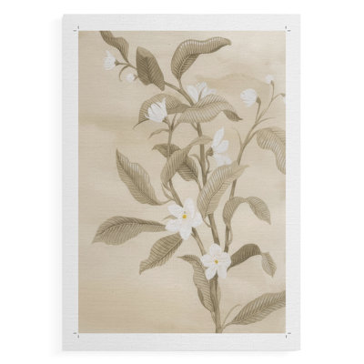 Sépia, fleur d'oranger croquis II - reproduction de toile seulement - non encadrée