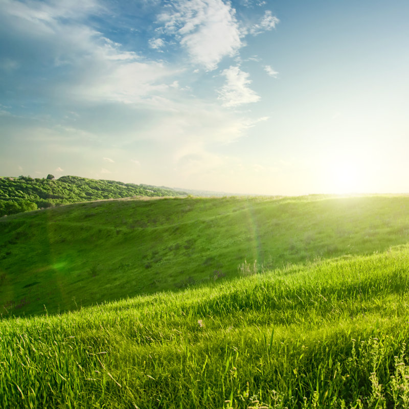 Landscape On Sunset - Wrapped Canvas Print, 51cm H x 51cm W x 3.8cm D