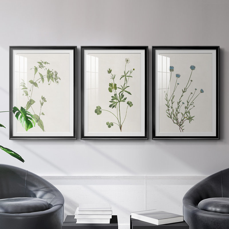 «Wispy Botanical I», reproduction encadrée de qualité supérieure - prête à être accrochée, H 30,5 po x l 45 po x P 2,5 po