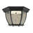 Diederich Textured Black LED Outdoor Flush Mount