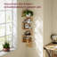 Deltaville 126cm H x 20cm W Floating Shelf Bookcase