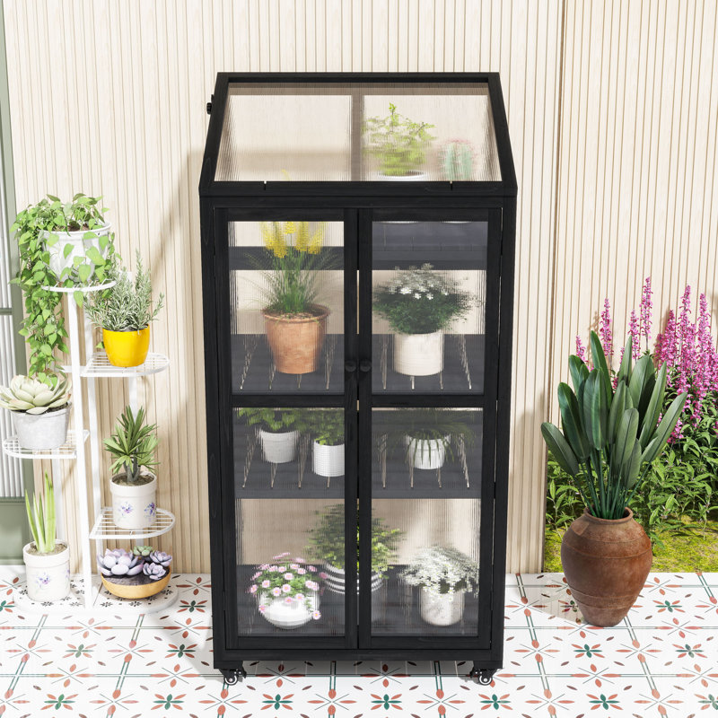Serre portative en bois avec tablettes réglables, structure froide sur roulettes pour l'intérieur et l'extérieur, Noir